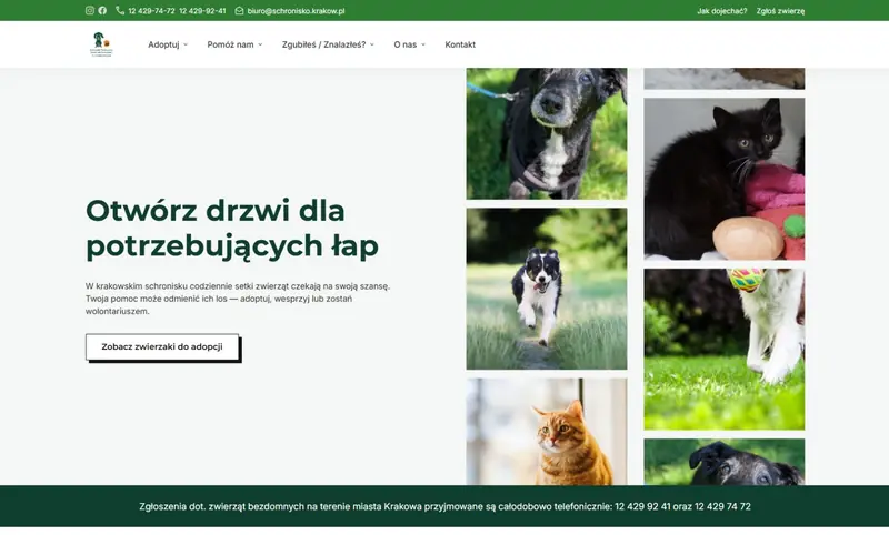 Strona firmy Krakowskie Towarzystwo Opieki nad Zwierzętami